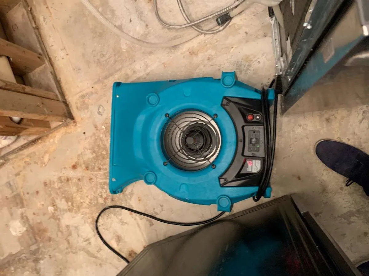 Air mover drying equipment for Mold Remediation & Removal in Chamblee
